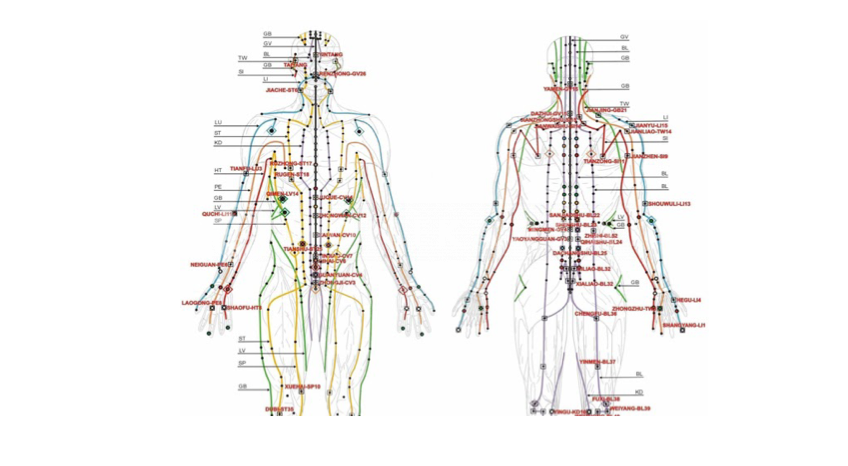 Kineziológia - Touch For Health I-II.